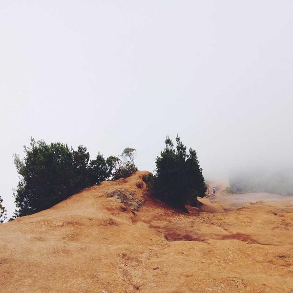 UrbanStep Pace Setter