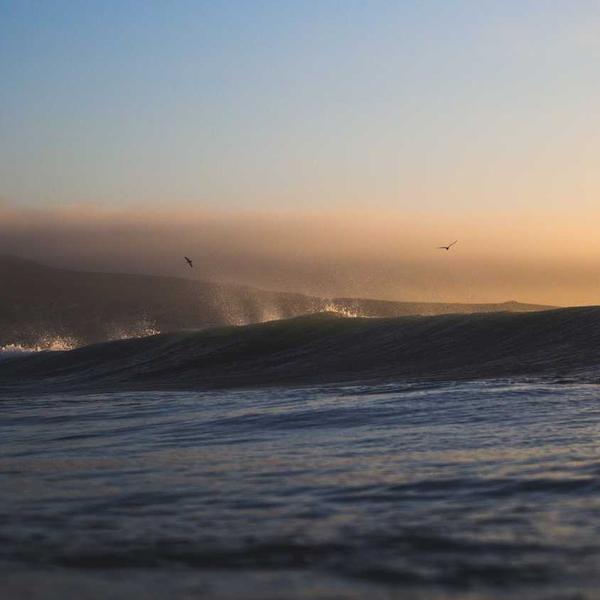 PeakWalk Tassel Oxford